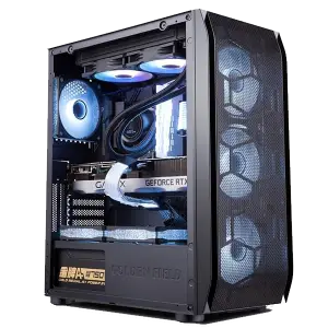 GOLDEN FIELD SNOW BRAND NEW CASING ( BLACK )
