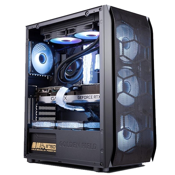 GOLDEN FIELD SNOW BRAND NEW CASING ( BLACK )